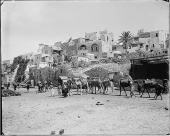 مجموعة من الصور النادرة لمدينة يافا قبل عام 1941